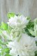 画像10: 八重咲きクレマチス "雪の粧~ゆきのよそい~" 18cmポット