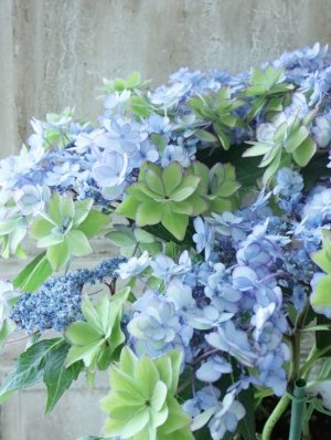 画像4: 秋色紫陽花 "ひな祭り"