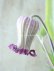 画像4: 壺型クレマチス "白紫" 充実苗! (4)