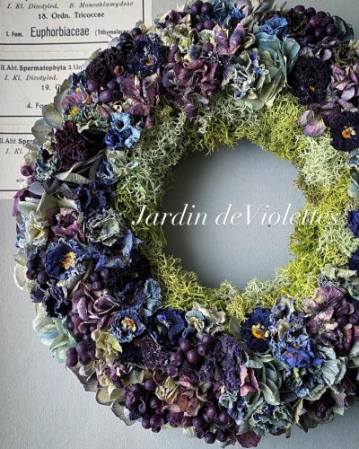 Dry25' - Jardin de Violettes (Page 5)