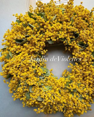 天然ムカデラン15年以上育てた大リース Dry25' - Jardin de Violettes (Page 6)
