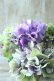 画像1: 秋色紫陽花 "マスカレード" No.3 (1)