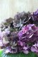 画像5: 秋色紫陽花 "ディープパープル" No.10