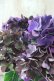 画像3: 秋色紫陽花 "ディープパープル" No.13