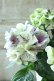 画像3: 秋色紫陽花 "寿" No.2 (3)