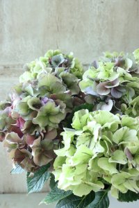 秋色紫陽花 "寿" No.10