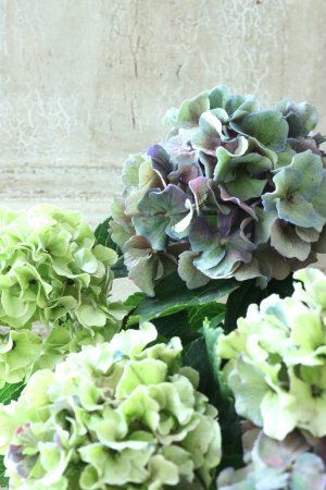画像2: 秋色紫陽花 "寿" No.9