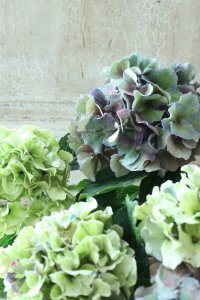 秋色紫陽花 "寿" No.9