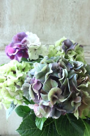 画像3: 秋色紫陽花 "寿" No.5