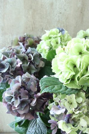 画像2: 秋色紫陽花 "寿" No.7