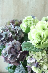 秋色紫陽花 "寿" No.7