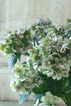 アネモネ様専用&秋色紫陽花とオレンジイエロー系小花ラウンド