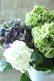 画像3: 秋色紫陽花 "寿" No.13 (3)