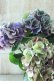 画像3: 秋色紫陽花 "寿" No.15