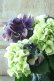 画像1: 秋色紫陽花 "寿" No.13 (1)