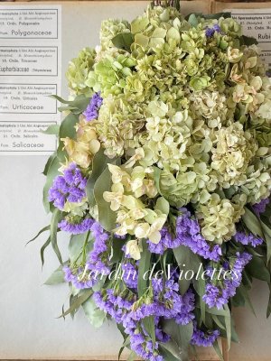 画像2: ＜2025'lete＞夏季限定Price◇ ナチュラルdryスワッグ グランヴァカンス 12