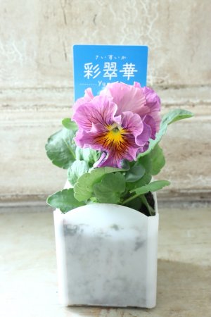 画像4: パンジー〜彩翠華・yuragi〜 No.14