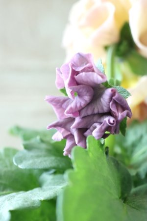 画像5: Robe de Antoinette〜ローブ・ドゥ・アントワネット〜 No.11