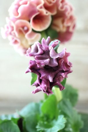 画像5: Robe de Antoinette〜ローブ・ドゥ・アントワネット〜 No.30