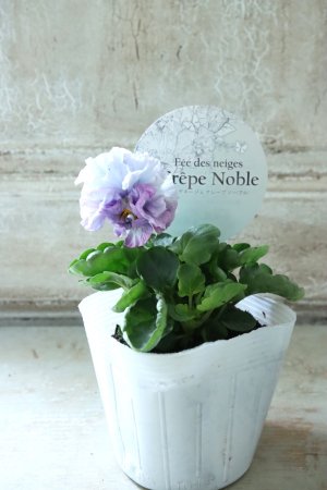 画像4: Fee des neiges Crepe Noble "フェデネージュ クレープ ノーブル" No.16