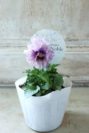 画像4: Fee des neiges Crepe Noble "フェデネージュ クレープ ノーブル" No.34