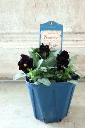 画像4: Nouvelle Vague〜ヌーヴェルヴァーグ〜 No.78