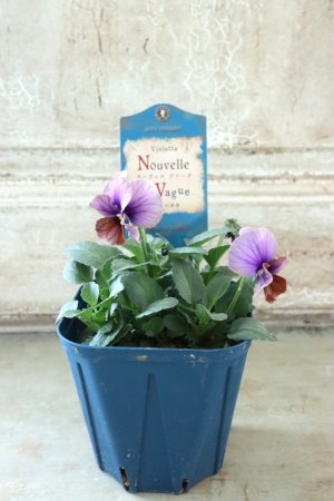 画像5: Nouvelle Vague〜ヌーヴェルヴァーグ〜 No.70