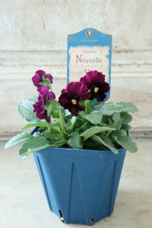 画像4: Nouvelle Vague〜ヌーヴェルヴァーグ〜 No.42