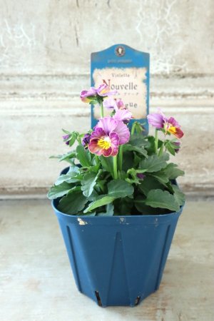 画像4: Nouvelle Vague〜ヌーヴェルヴァーグ〜 No.67