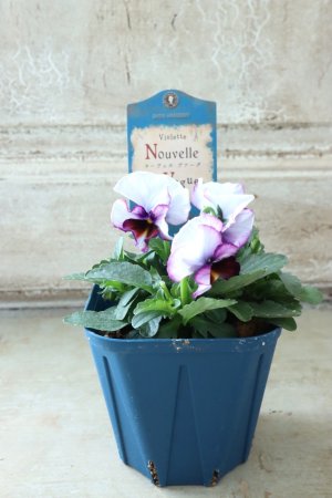 画像5: Nouvelle Vague〜ヌーヴェルヴァーグ〜 No.55