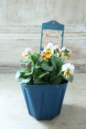 画像6: Nouvelle Vague〜ヌーヴェルヴァーグ〜 No.111