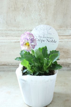 画像4: Fee des neiges Crepe Noble "フェデネージュ クレープ ノーブル" No.69