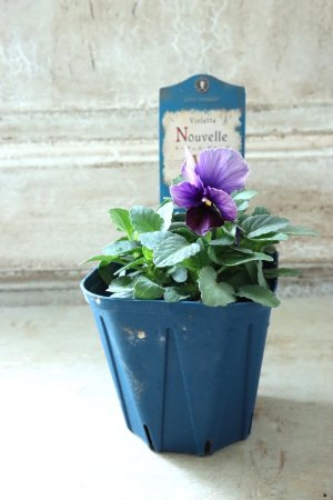 画像4: Nouvelle Vague〜ヌーヴェルヴァーグ〜 No.83