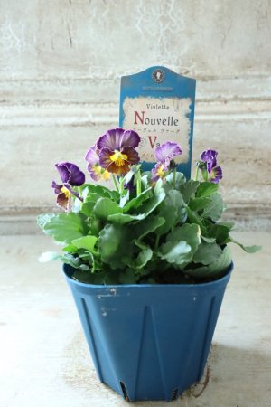 画像5: Nouvelle Vague〜ヌーヴェルヴァーグ〜 No.117