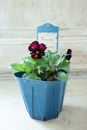 画像4: Nouvelle Vague〜ヌーヴェルヴァーグ〜 No.82