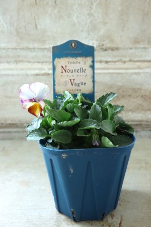 画像4: Nouvelle Vague〜ヌーヴェルヴァーグ〜 No.87