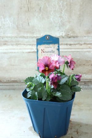 画像5: Nouvelle Vague〜ヌーヴェルヴァーグ〜 No.98