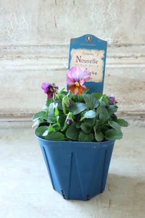 画像4: Nouvelle Vague〜ヌーヴェルヴァーグ〜 No.124