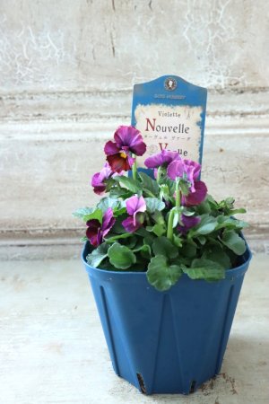 画像4: Nouvelle Vague〜ヌーヴェルヴァーグ〜 No.148