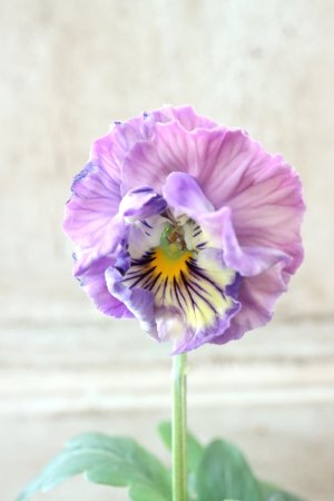 画像2: Fee des neiges Crepe Noble "フェデネージュ クレープ ノーブル" No.78