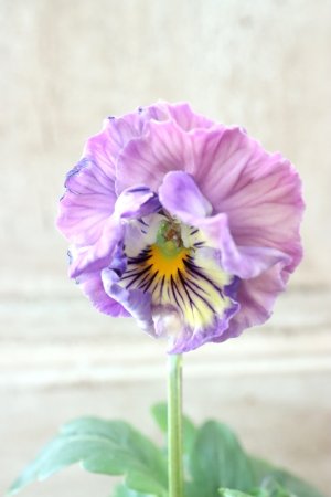 画像1: Fee des neiges Crepe Noble "フェデネージュ クレープ ノーブル" No.78