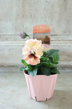 画像4: Fee des neiges~Monet Meules~ "フェデネージュ ~モネ 積みわら~" No.4