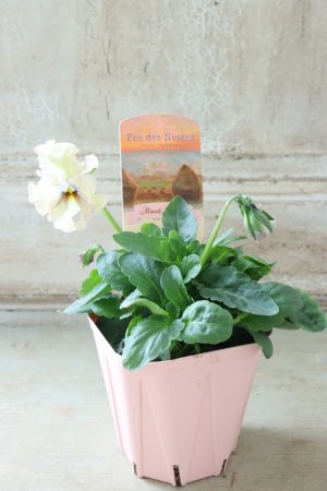 画像4: Fee des neiges~Monet Meules~ "フェデネージュ ~モネ 積みわら~" No.41