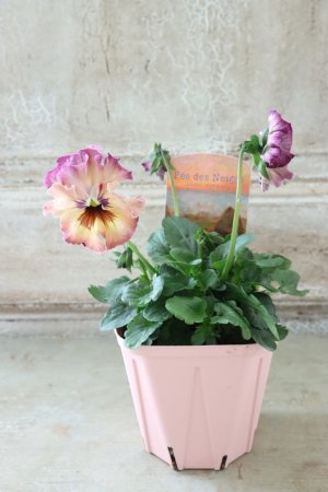 画像4: Fee des neiges~Monet Meules~ "フェデネージュ ~モネ 積みわら~" No.19