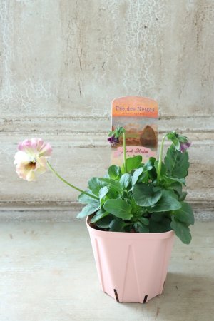 画像4: Fee des neiges~Monet Meules~ "フェデネージュ ~モネ 積みわら~" No.44