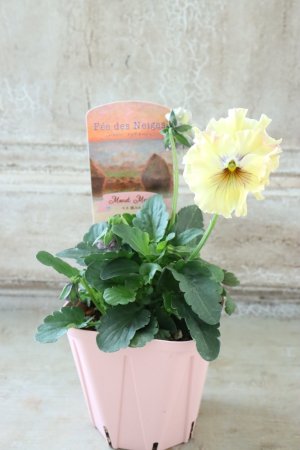 画像4: Fee des neiges~Monet Meules~ "フェデネージュ ~モネ 積みわら~" No.3