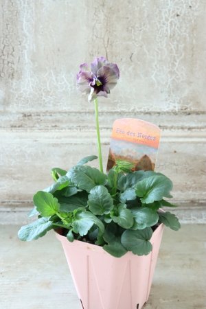 画像4: Fee des neiges~Monet Meules~ "フェデネージュ ~モネ 積みわら~" No.90