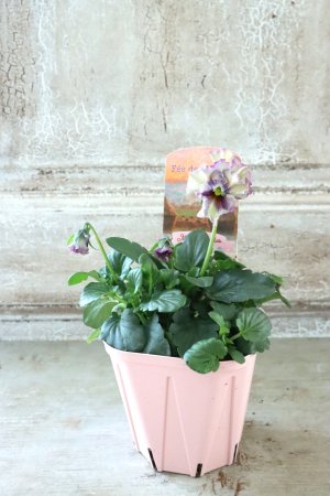 画像4: Fee des neiges~Monet Meules~ "フェデネージュ ~モネ 積みわら~" No.63