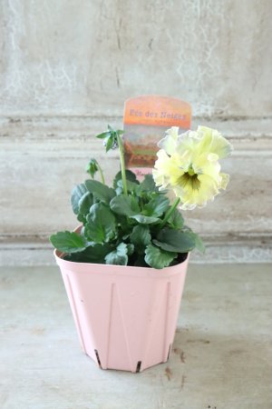 画像4: Fee des neiges~Monet Meules~ "フェデネージュ ~モネ 積みわら~" No.71