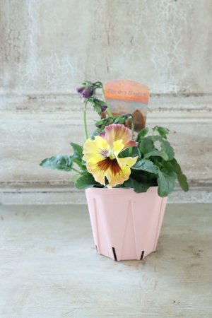 画像4: Fee des neiges~Monet Meules~ "フェデネージュ ~モネ 積みわら~" No.59